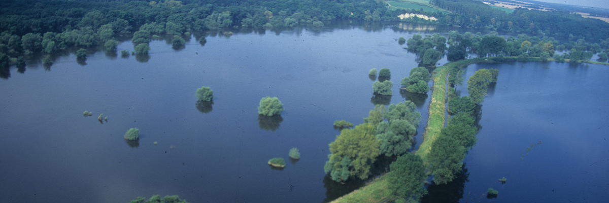Hochwasser an der Oder 1997 Oderhochwasser 1997 - Deich bei der Ziltendorfer Niederung (Luftaufnahme)